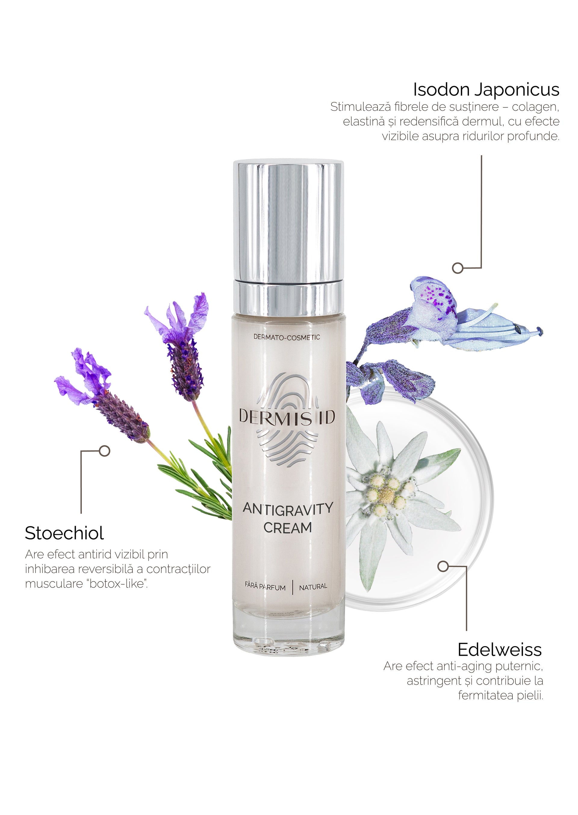 Antigravity Cream