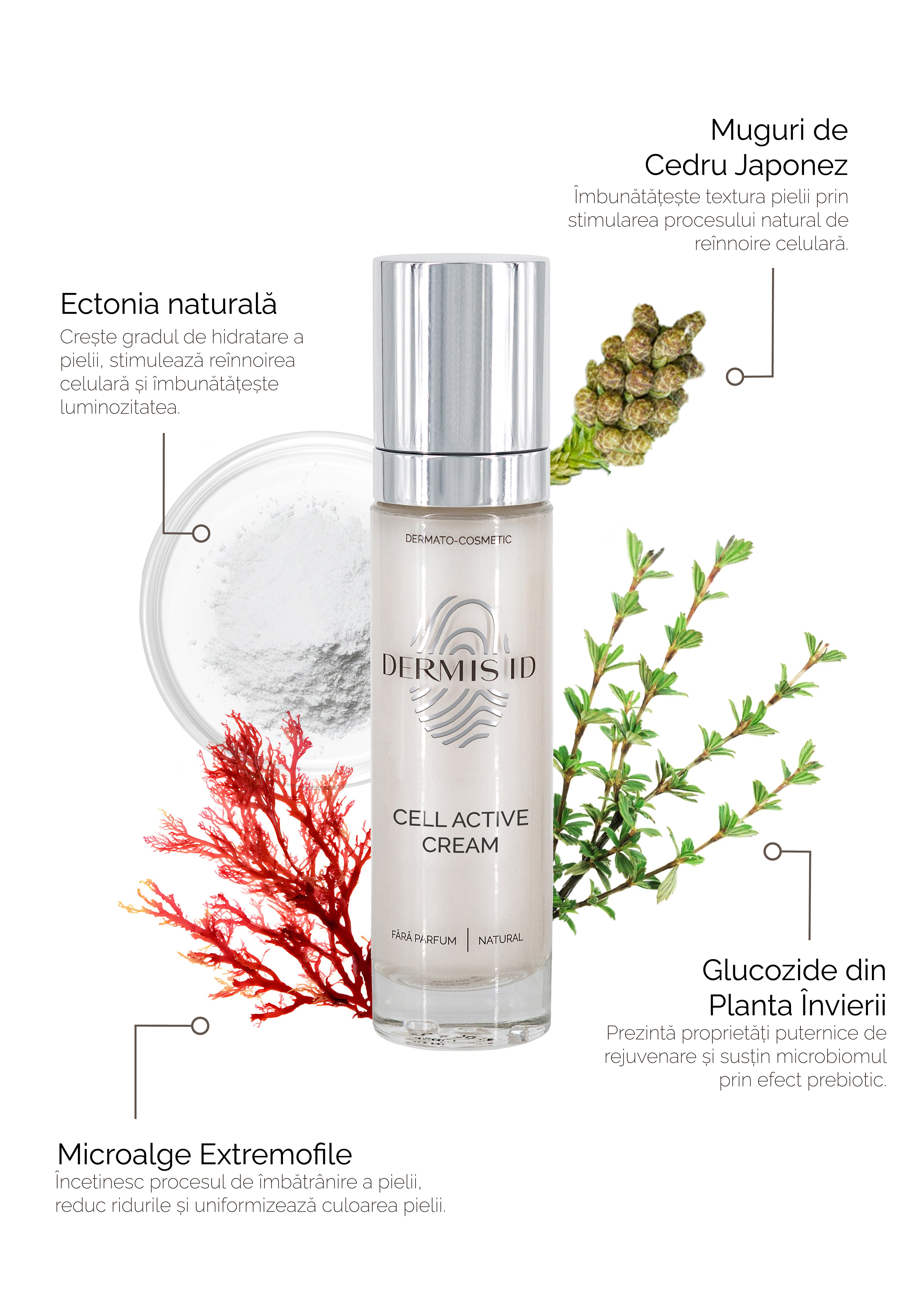 α CELL SERUM & α CELL CREAM セット　各2本 Cell Active Cream - Cremă anti-aging cu ectoină și alge marine pentru