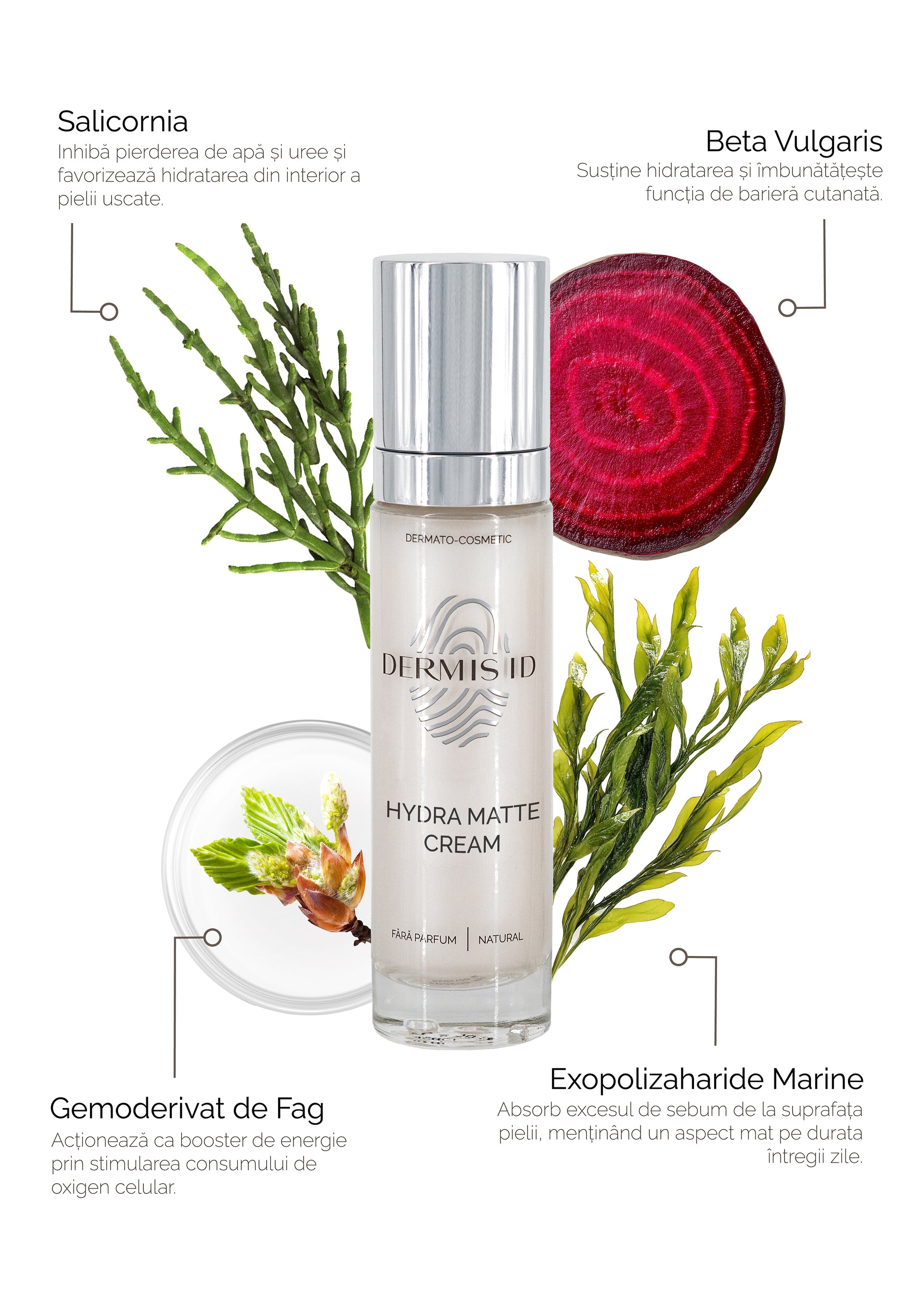 Hydra Matte Cream