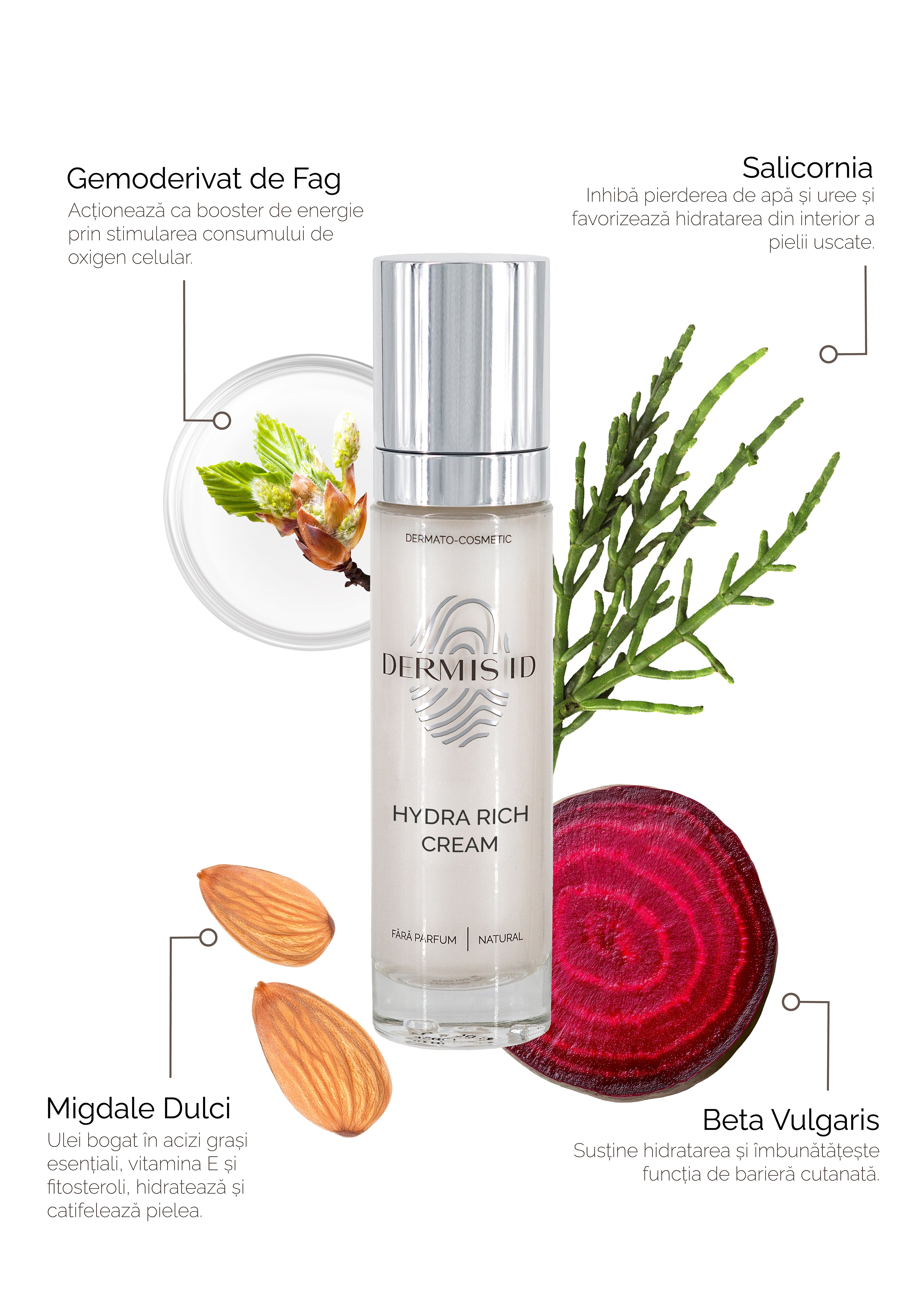 Hydra Rich Cream - Cremă anti-aging pentru regenerare și revitalizare,