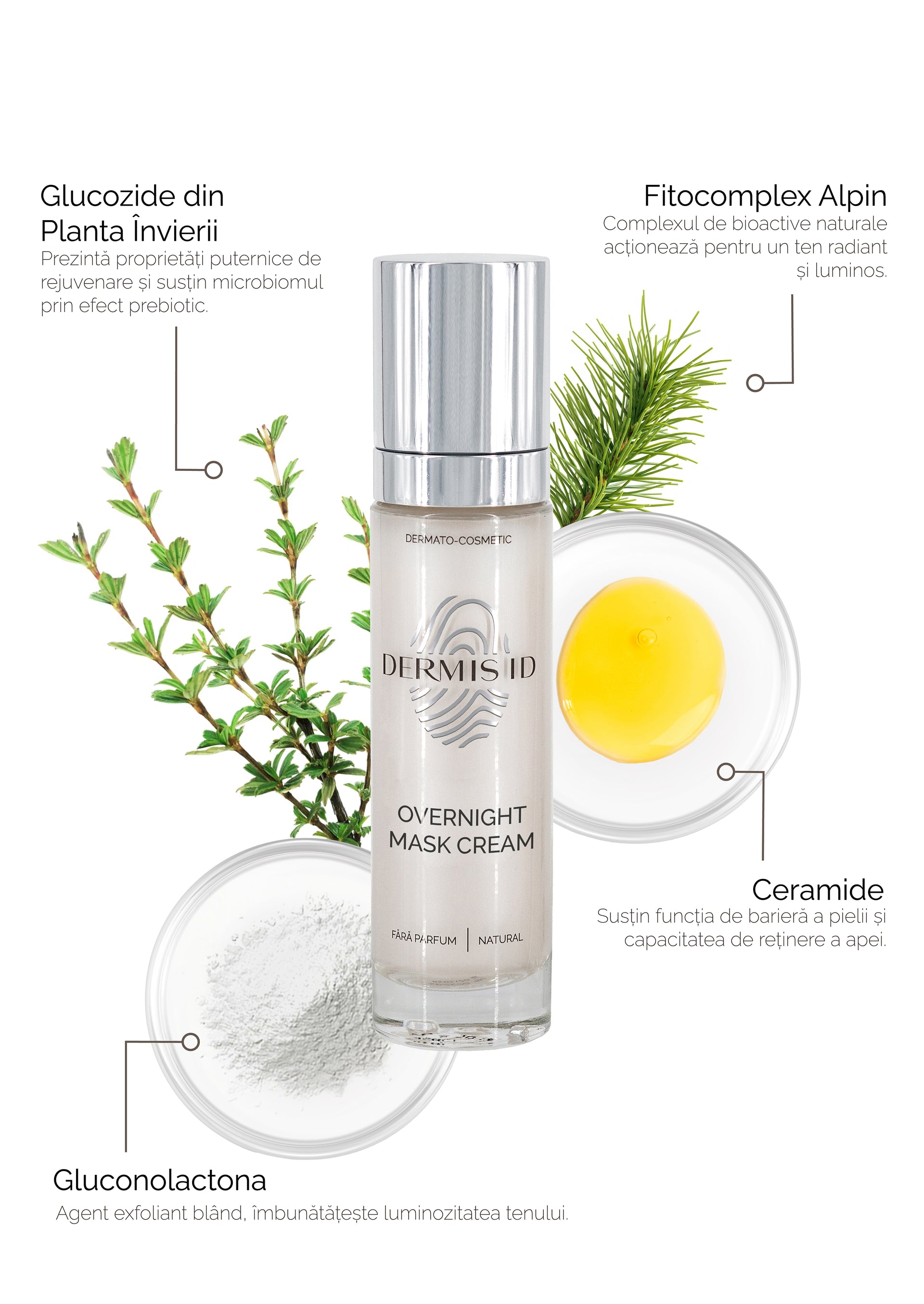 Overnight Mask Cream